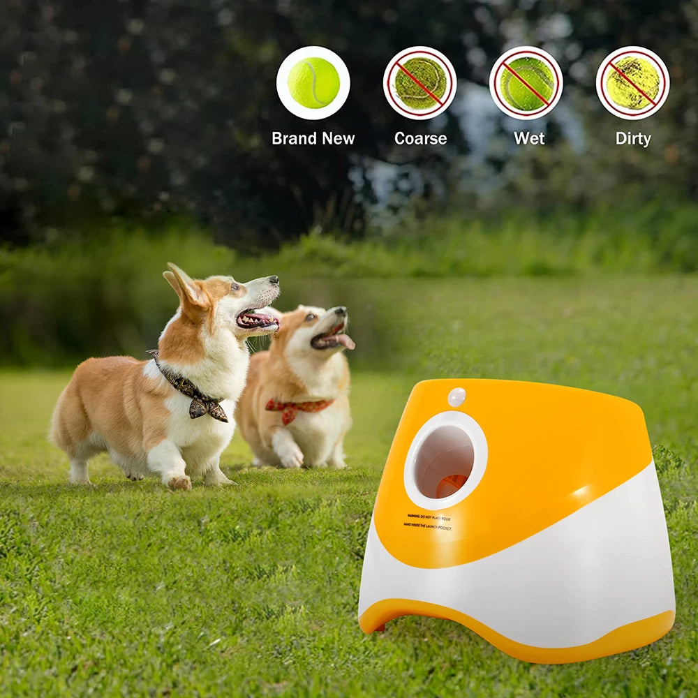 Launch into Playtime: The Ultimate Auto-Throwing Ball Launcher for Dogs & Cats